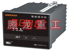 溫度表、數(shù)字顯示儀、濕度表