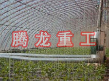 大棚花卉供暖設(shè)備、大棚卉采暖設(shè)備、大棚花卉取暖設(shè)備