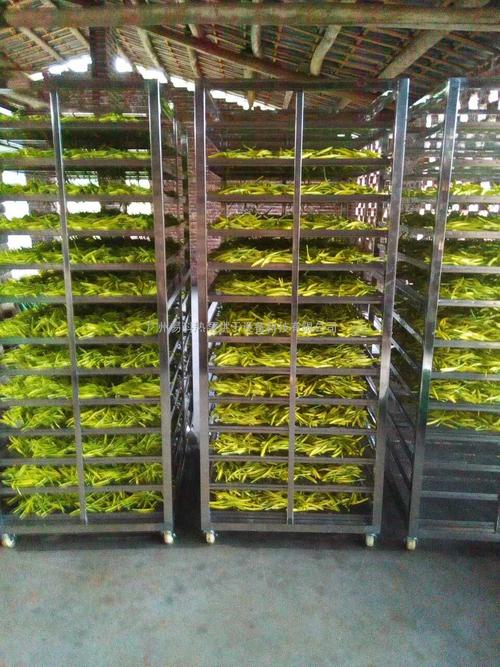 黃花菜烘干機、黃花菜烘干設(shè)備、黃花菜干燥機、黃花菜干燥設(shè)備、